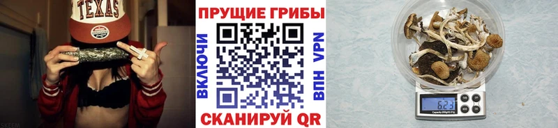 Купить закладки  Купино  Псилоцибиновые грибы Magic Shrooms 