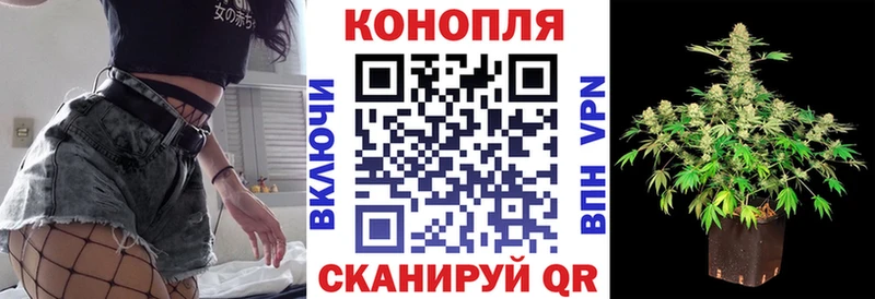 Купить закладки  Купино  Шишки марихуана сатива 